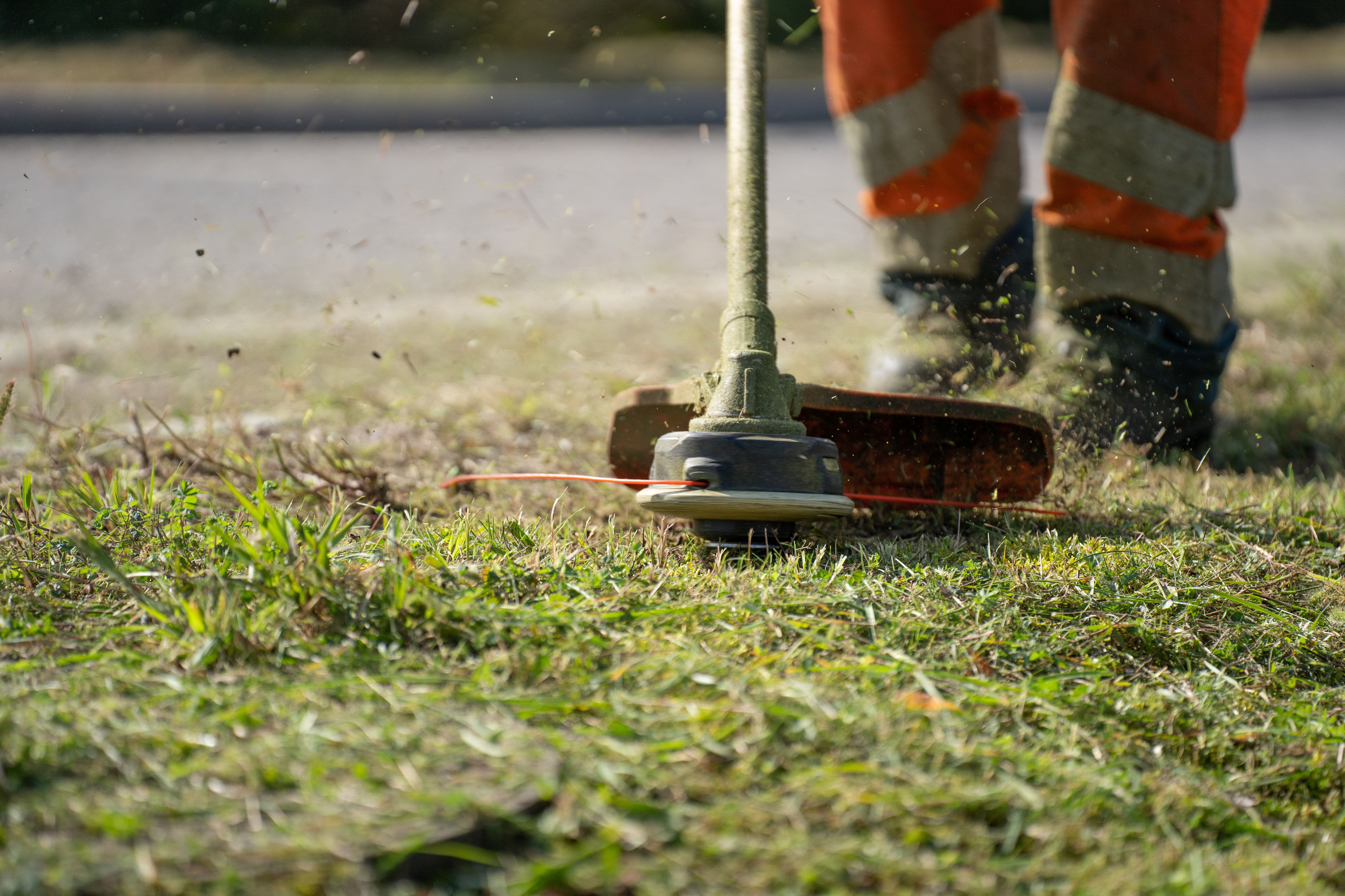 Crisp lawn edge beside a concrete sidewalk