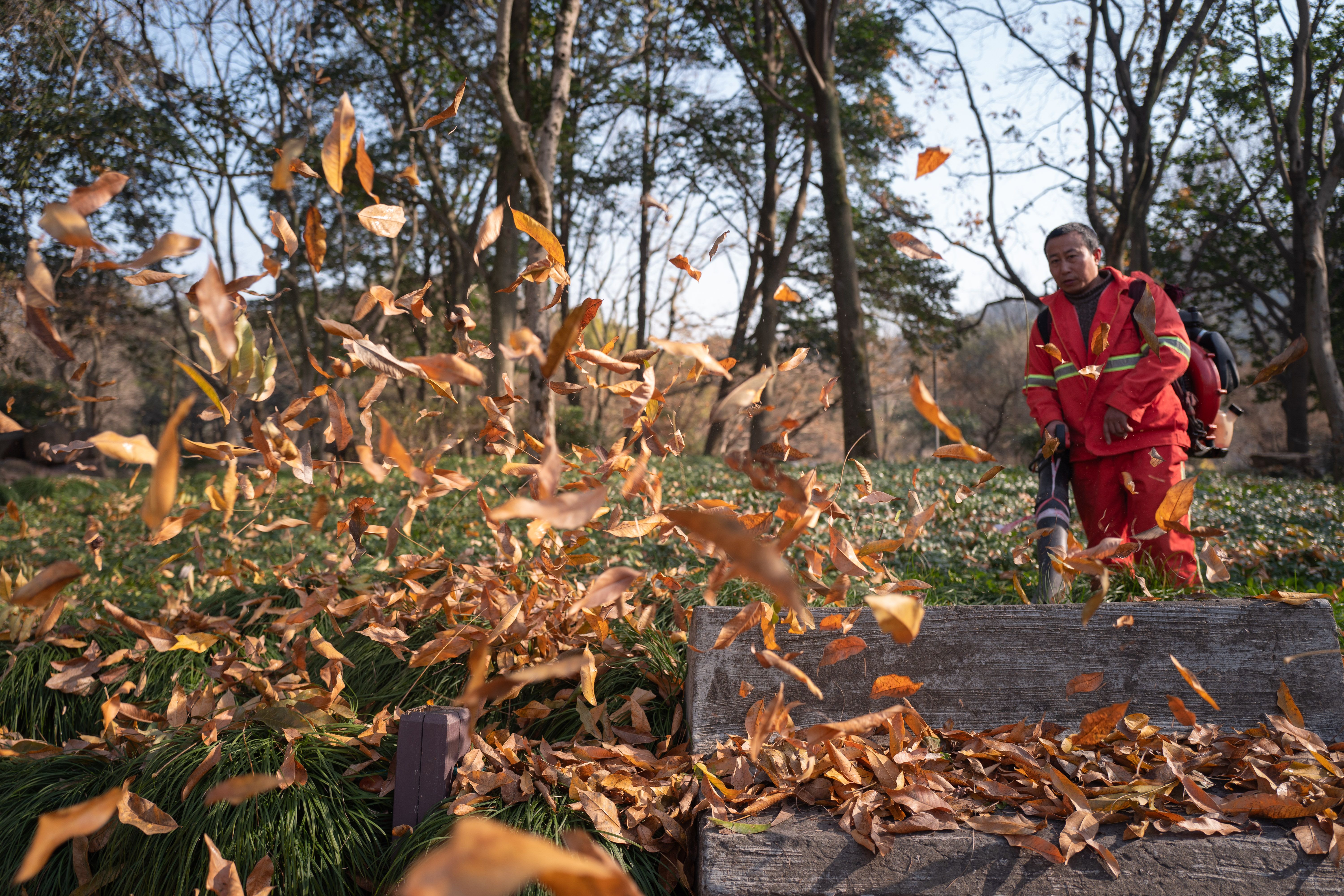 Leaf-free lawn after a fall cleanup in Ohio