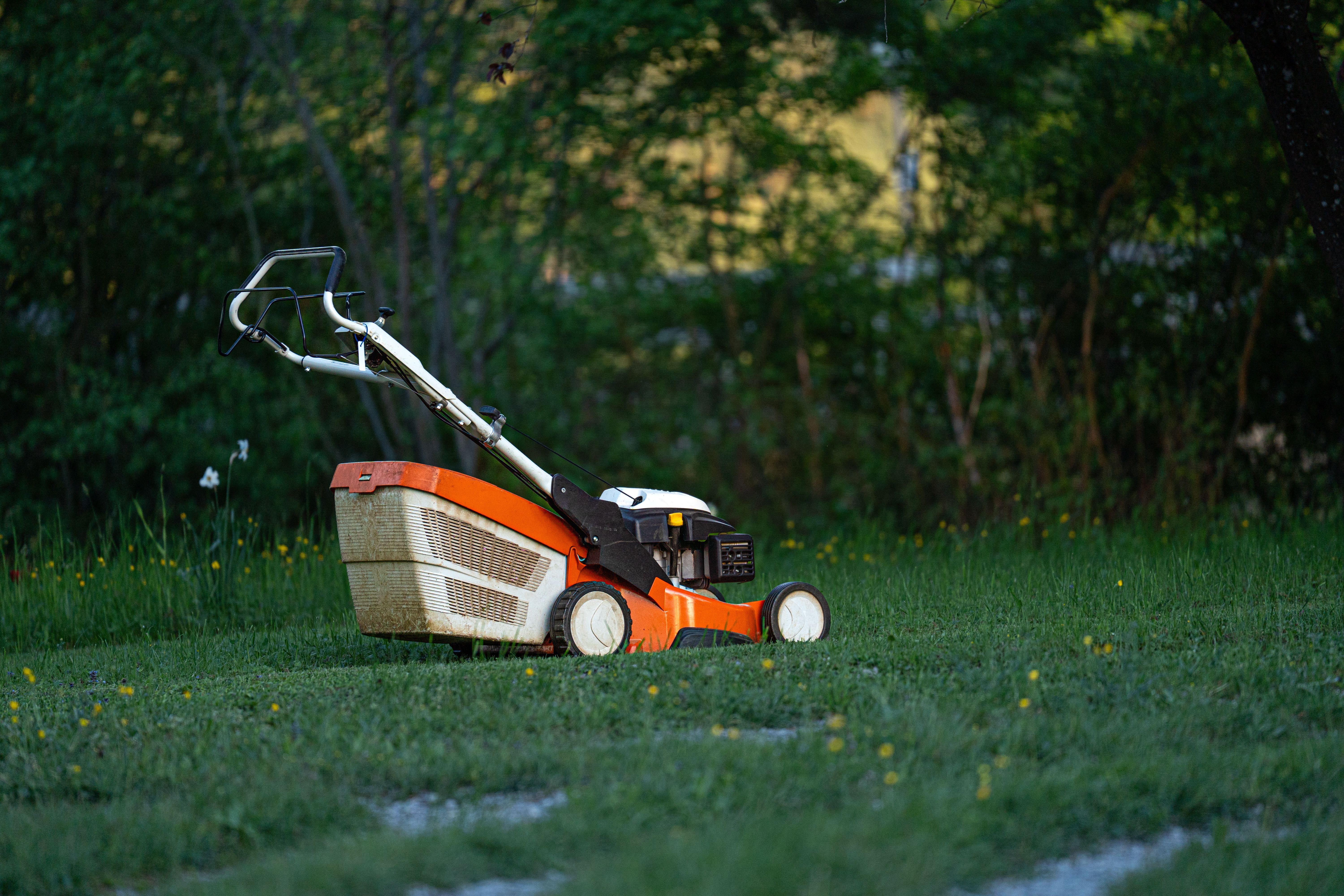 Neatly maintained front lawn after professional mowing
