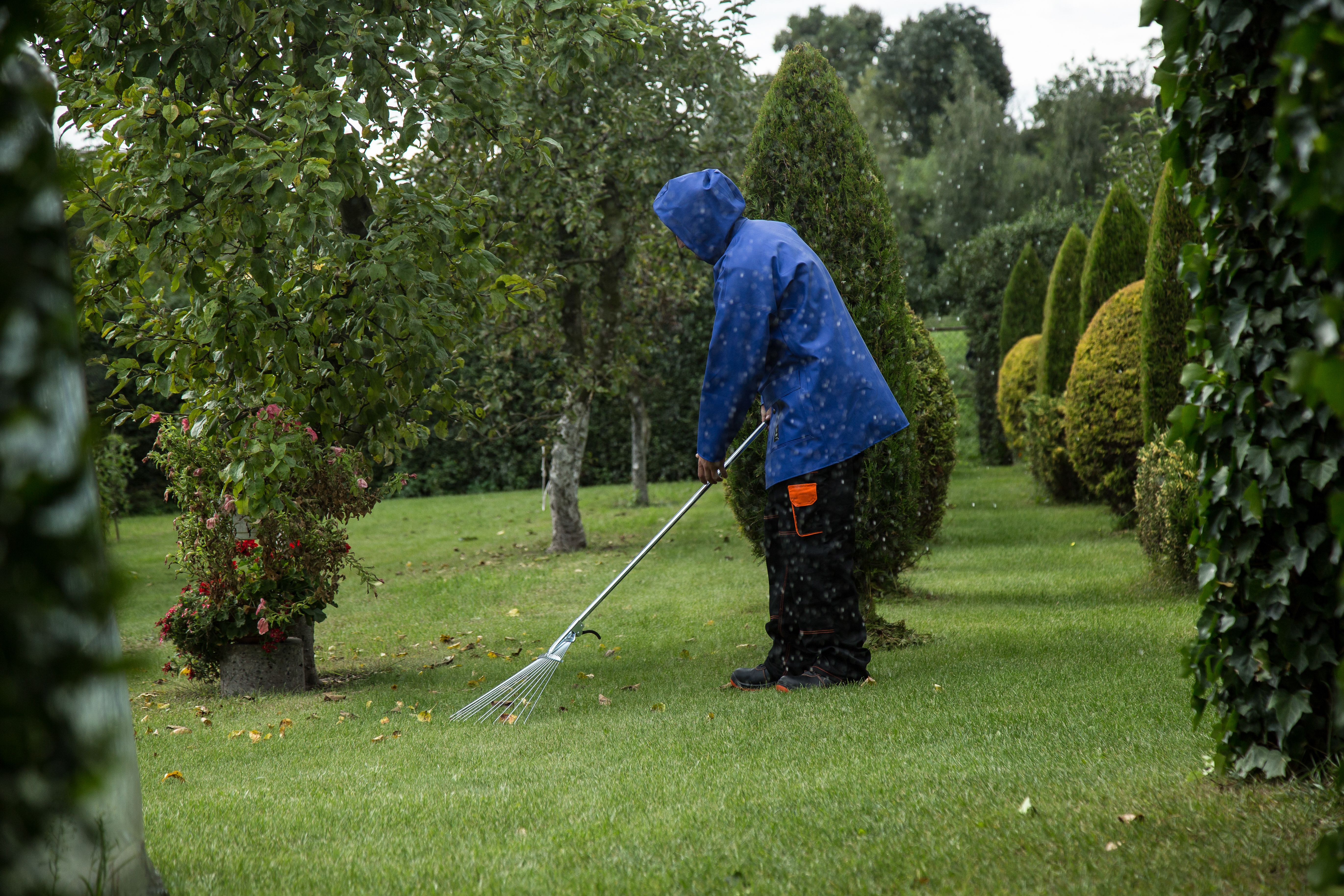 Gardener raking leaves during a spring yard cleanup